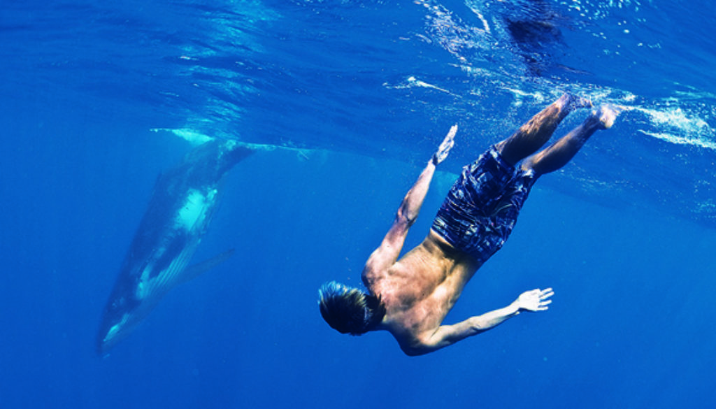 Minds in the Water