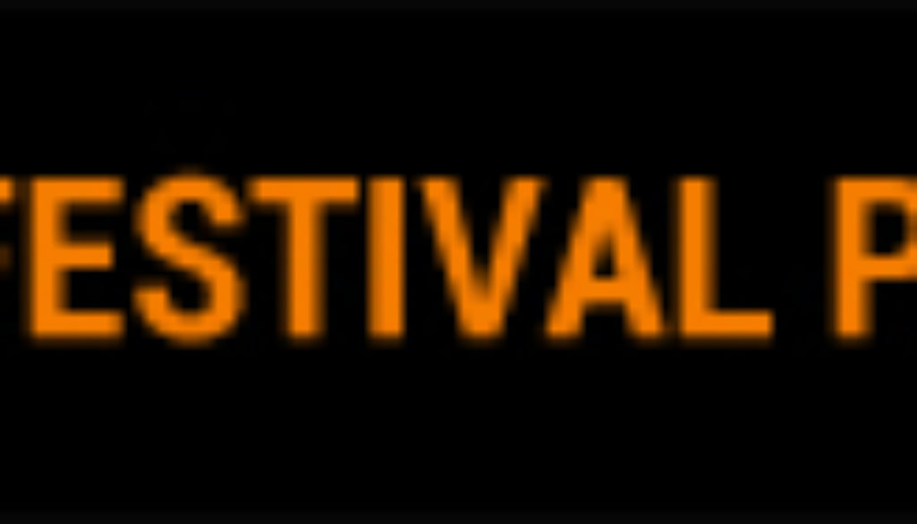 festival pass