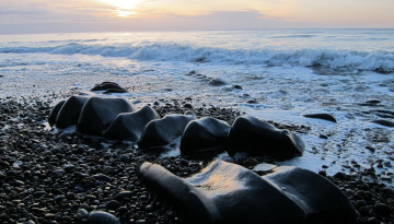 Haida Gwaii Pebble Beach 3