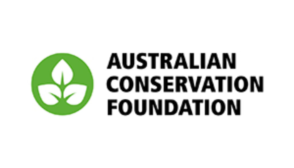 ACF community 300 x200