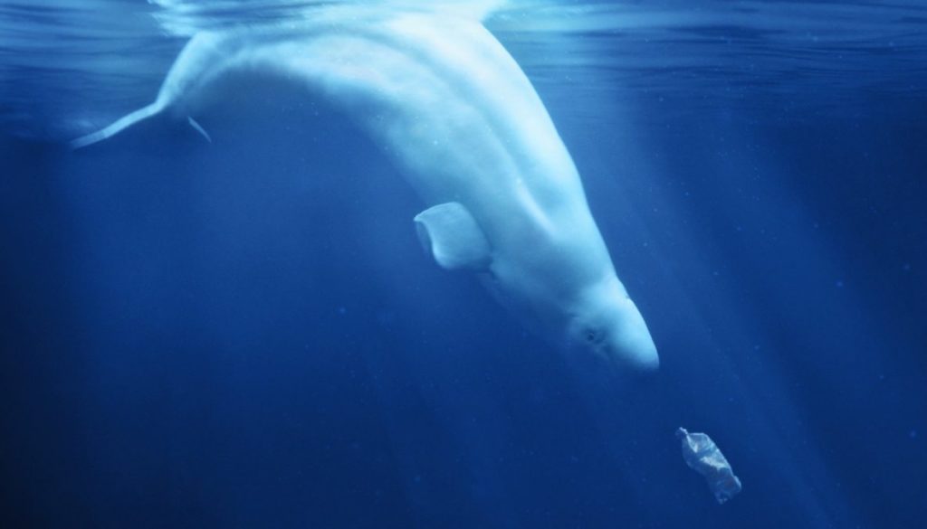 A Plastic Ocean image 1400x787 1