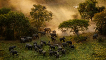 Zakouma National Park