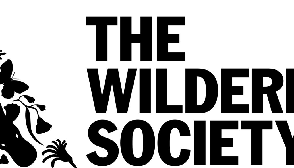 Black logo (jpeg)