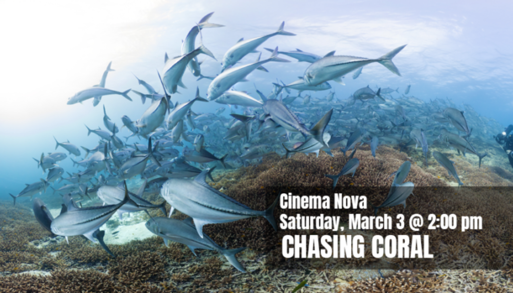 Slider Chasing Coral 1350x500px