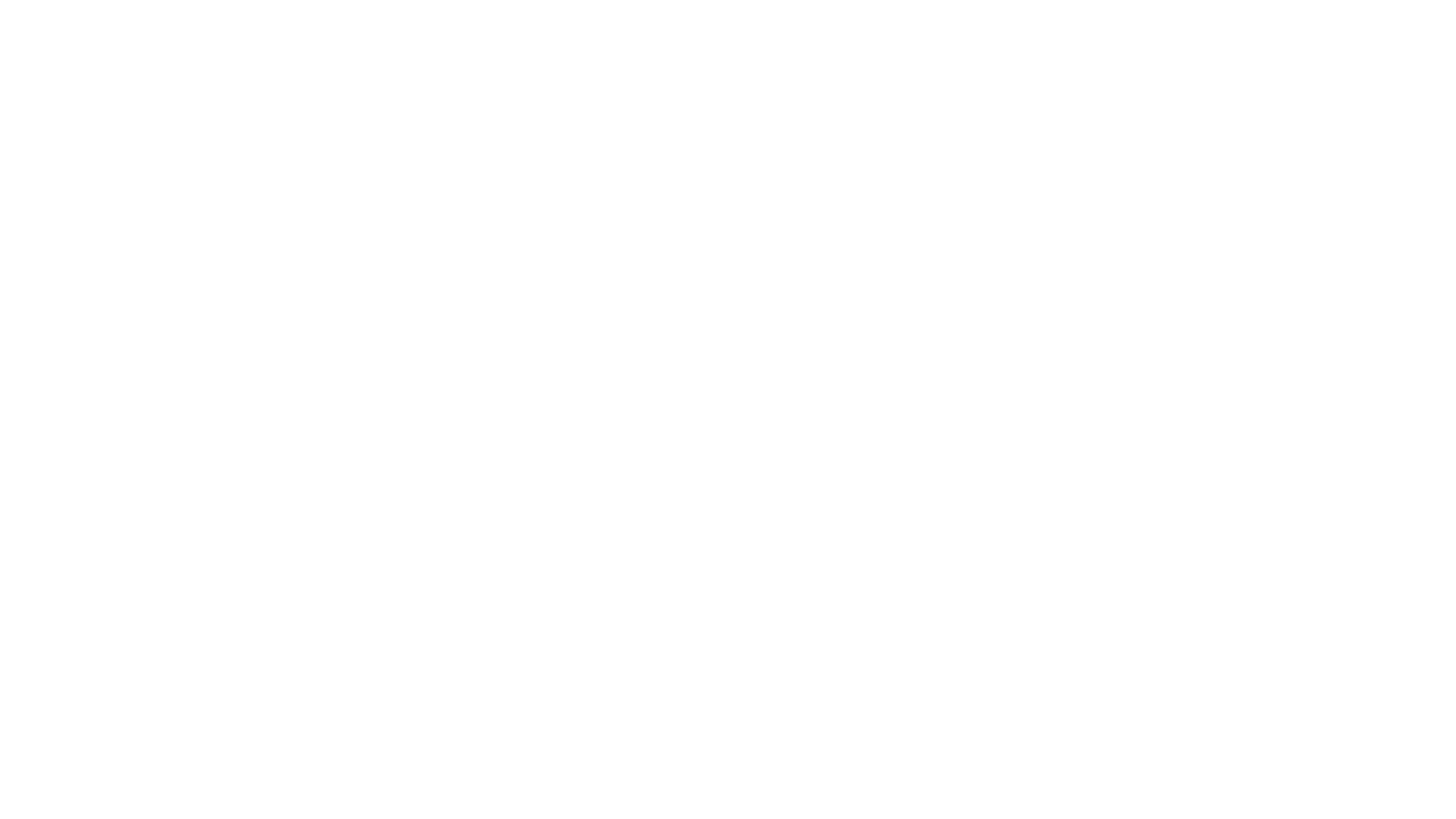 Transitions Film Festival 