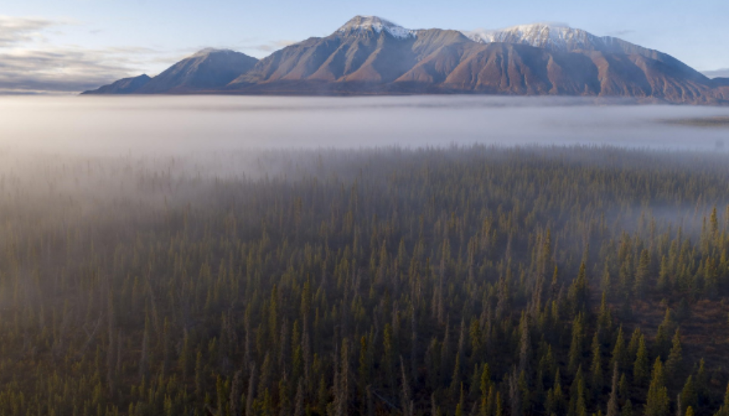 Borealis_An-aerial-view-of-the-boreal-forest-surrounding-mountains-in-the-Yukon-Territory