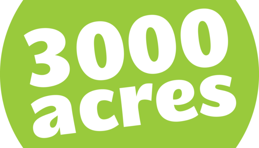 3000logo
