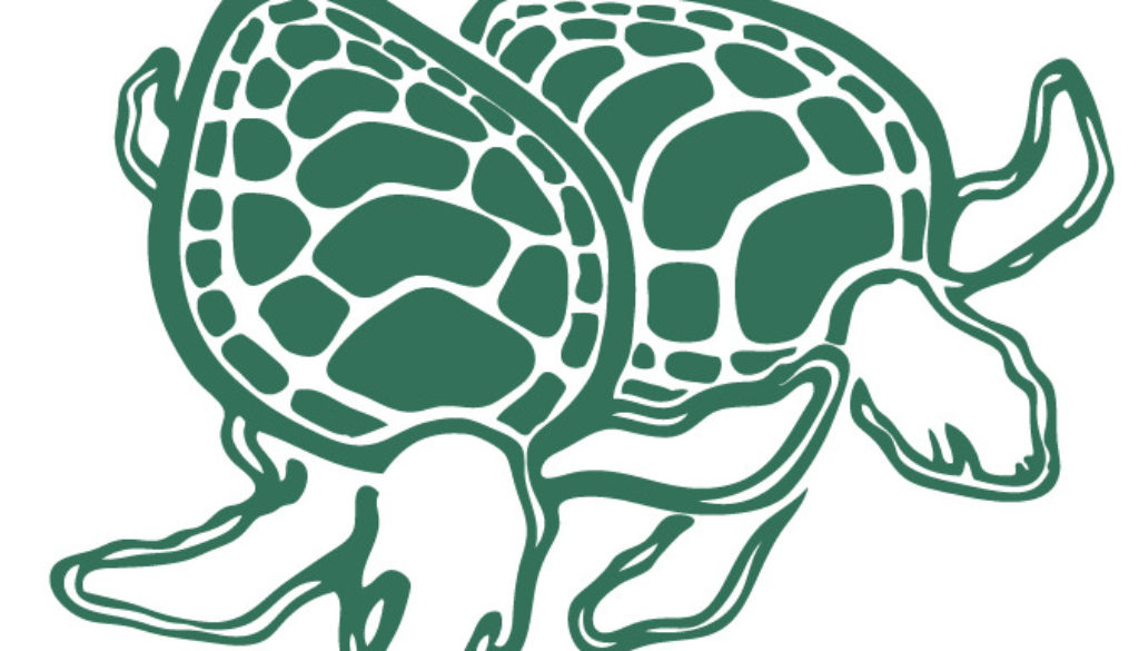 ECNT logo turtles