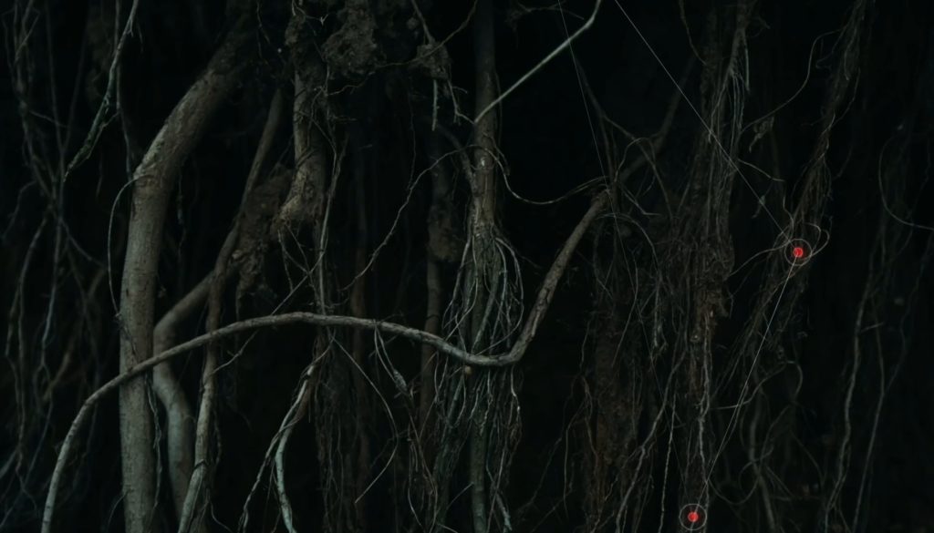 video loop tff full res v4 darker